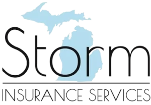 Storm Insurance Services Logo