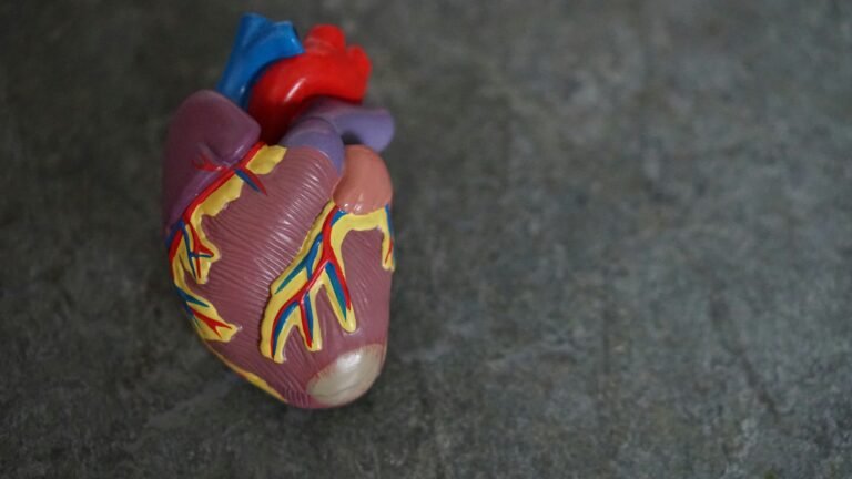 heart illustration against a plain grey background