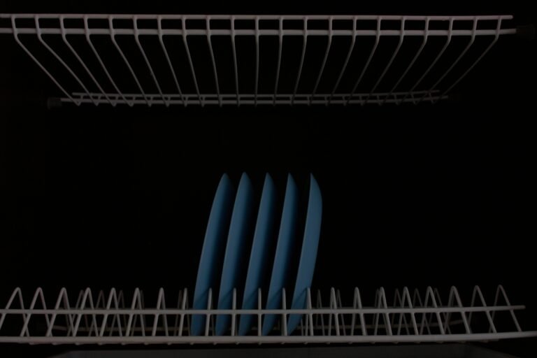 Dishes in a dishwasher