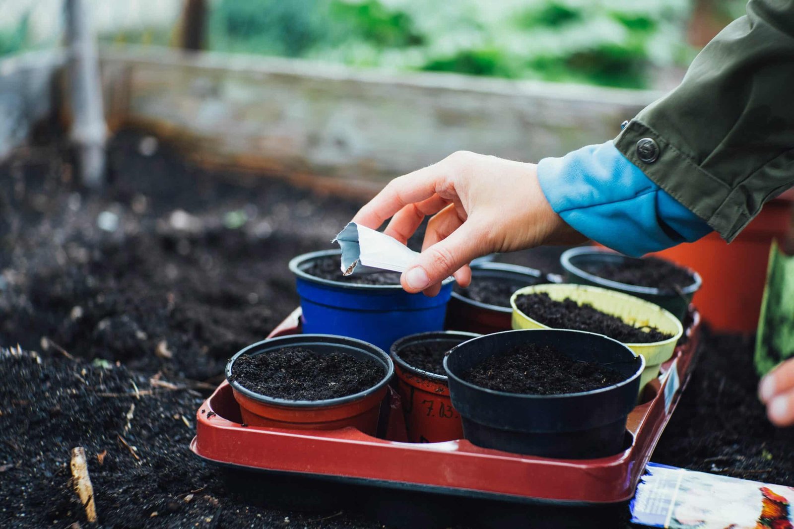Planting seeds in a garden
