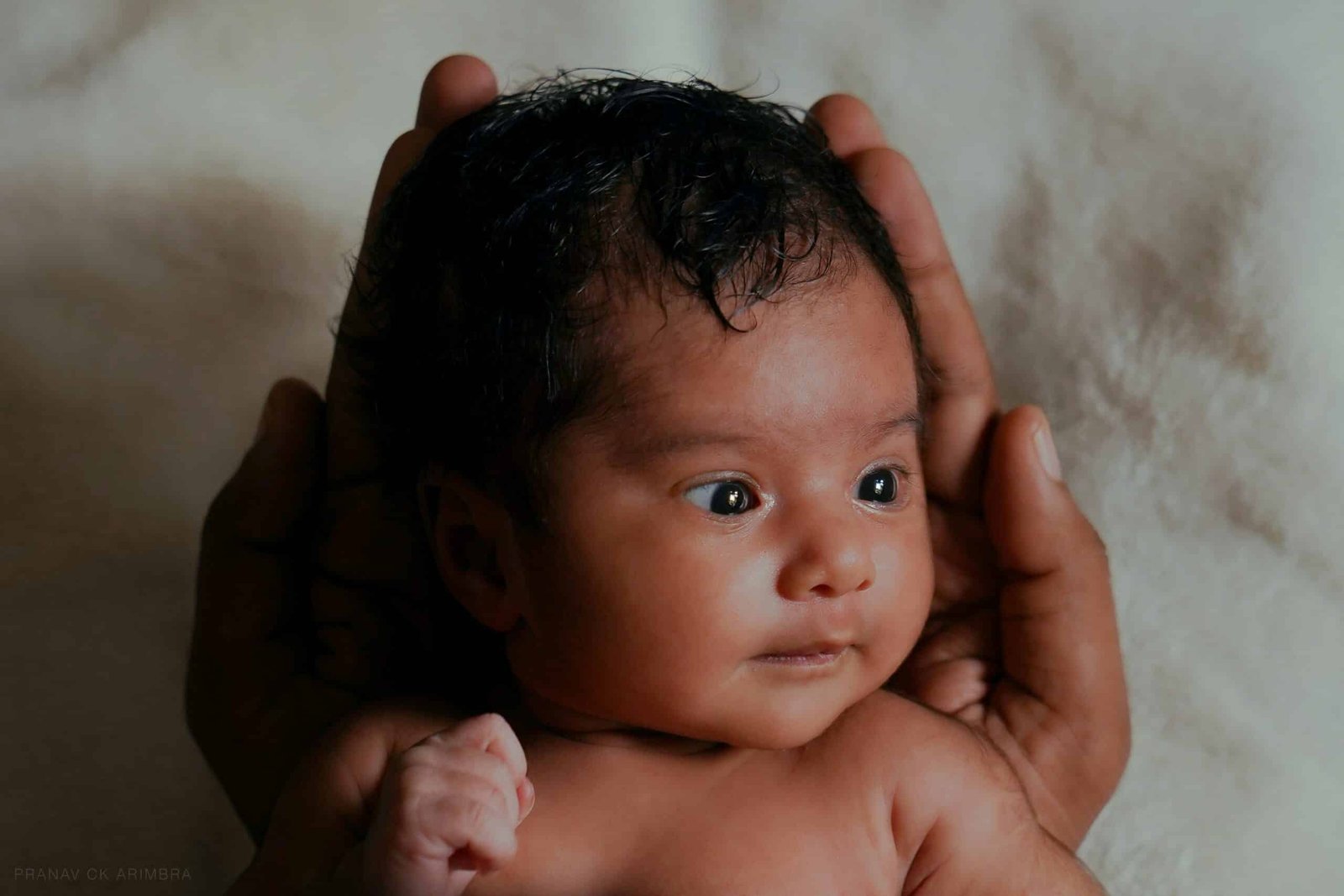 A baby in an adult's palm