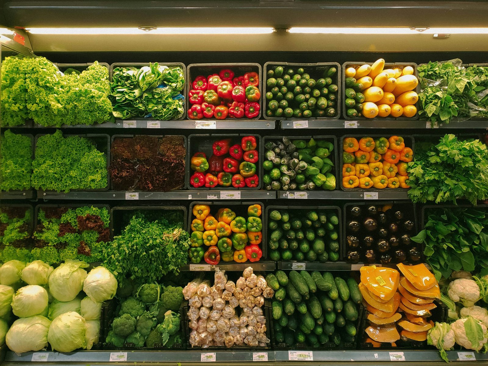 Fresh veggies in a row