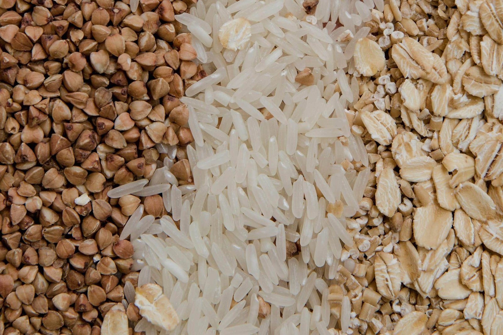 Rows of legumes, rice, and oats